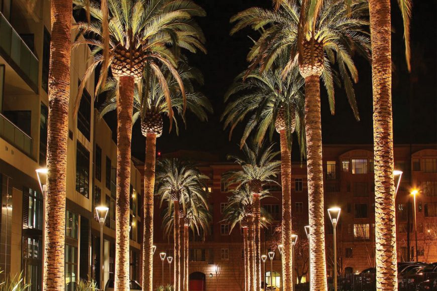 San Jose skyline